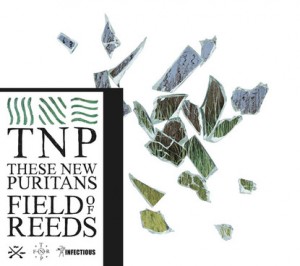 These New Puritans